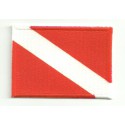 Embroidered patch and textile FLAG ALPHA 7cm x 5cm