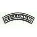 Embroidered Patch VALLADOLID 11cm x 4cm