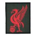 Embroidery and textile patch EAGLE FOOTBALL 6,5cm x 8,5cm
