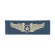 Embroidery patch MILITARY WINGS 10cm x 3cm