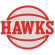 Parche bordado Atlanta Hawks 9cm x 8cm