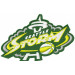 embroidery patch Seattle Storm 12cm x 8cm 