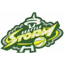 embroidery patch Seattle Storm 12cm x 8cm 