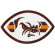 Embroidery patch Cleveland Browns 7,5cm x 4,5cm